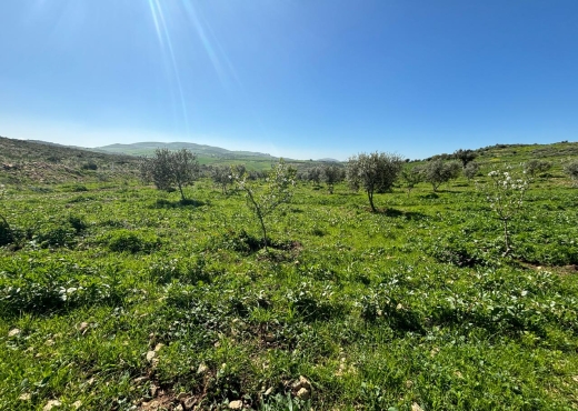 Belle ferme lansarine tborba - image 2