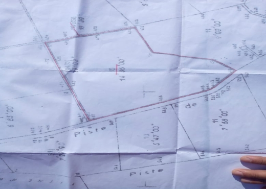 ارض فلاحية الشويڨي طبربة - image 3