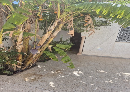 فيلا للبيع وادي الليل منوبة - image 3