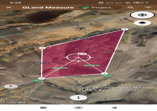 ارض فلاحية بيضاء وادي الزرقاء باجة - image 4