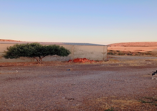 فيرمة عشرون هكتار الانصارين طبربة
