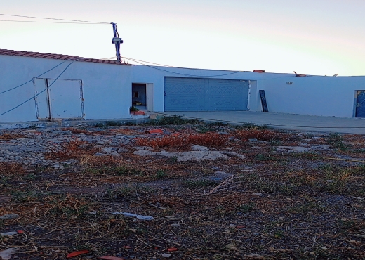 فيرمة عشرين هكتار الانصارين