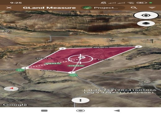 A Vendre Ferme à Oued Zarga  Beja - image 2