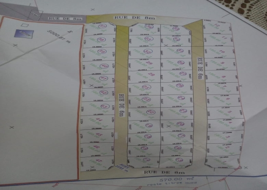 تقسيم خاص ببجاوة - image 2